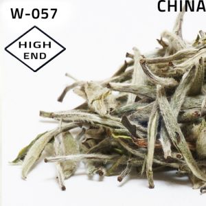Fu Ding Silver Needle White Tea, Bai Hao Yin Zhen A 2021