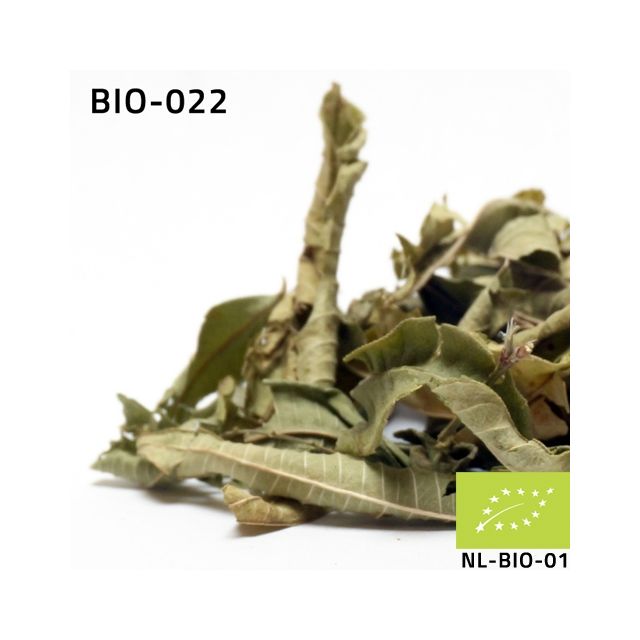 Lemon Verbena BIO 