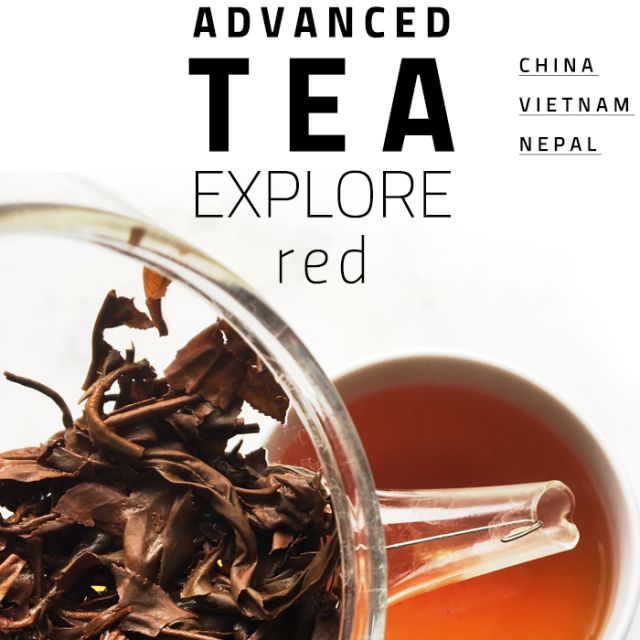 Advanced Red Tea Explorer 2.1