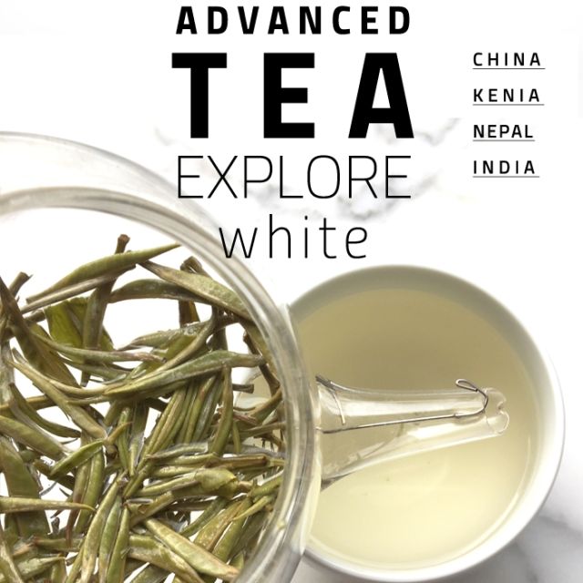 Advanced White Tea Explorer 2.0