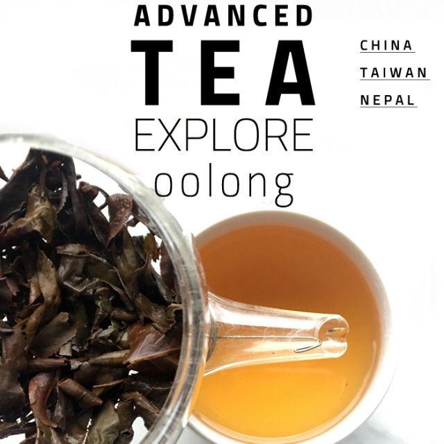 Advanced Oolong Tea Explorer 2.3