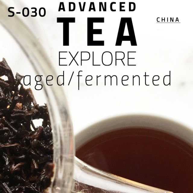 Advanced Fermented Tea Explorer 2.5